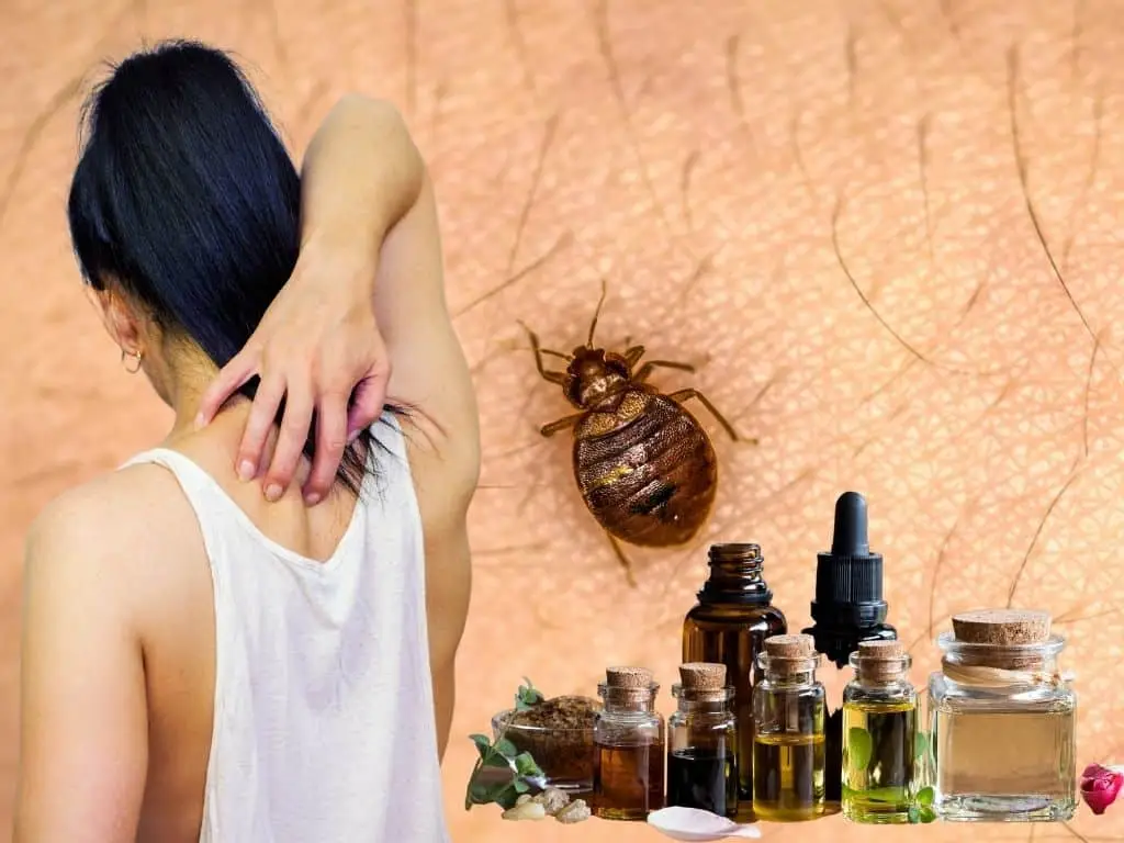 Les produits naturels et remèdes maison contre les punaises de lit : mythe ou réalité ?