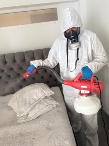 intervention punaise de lit chambre
