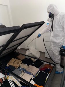 intervention punaise de lit sous le lit
