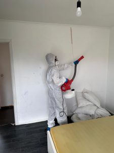 intervention punaise de lit coin du mur