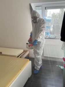 intervention punaise de lit matelas